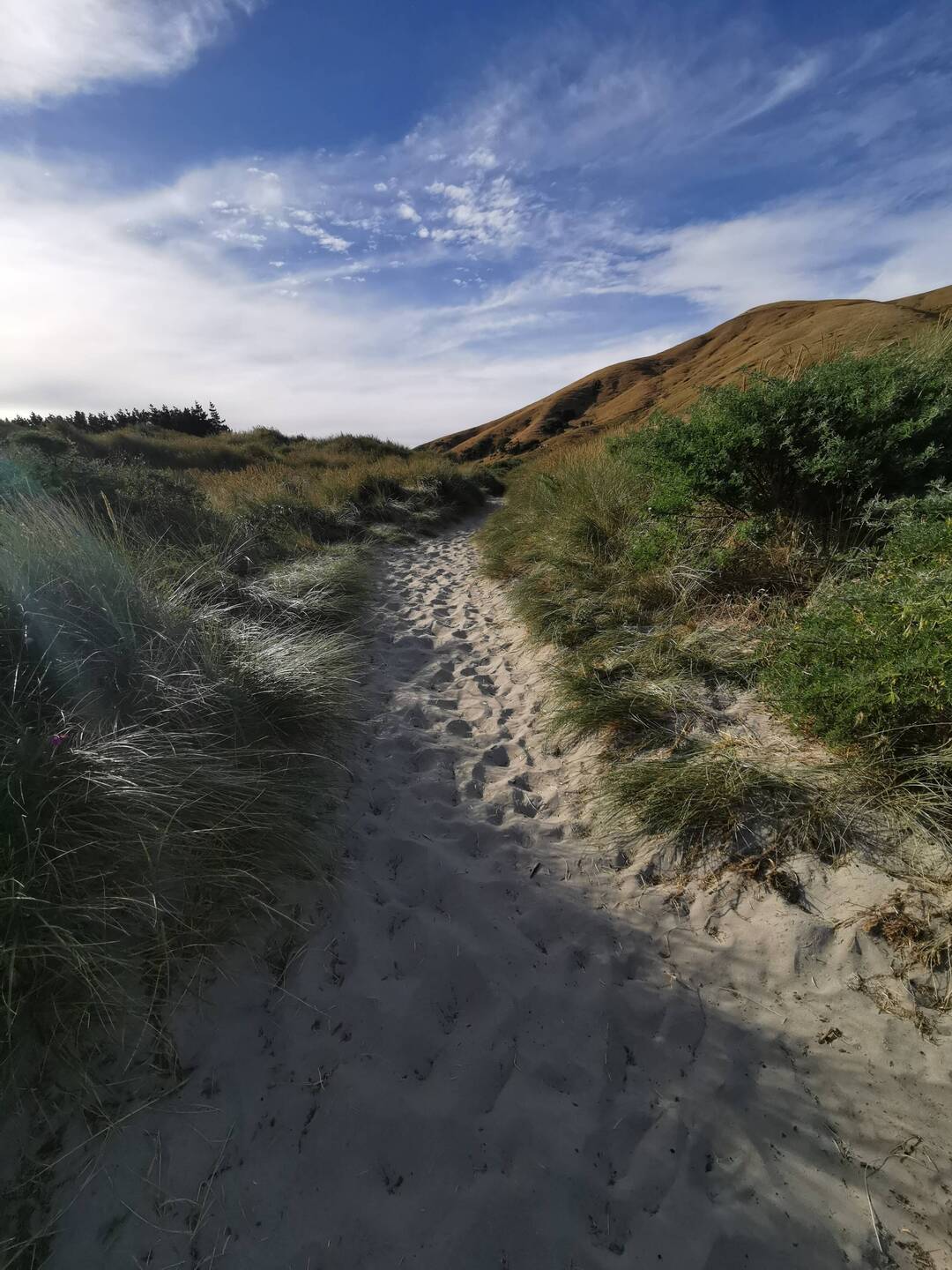 Way to Allans Beach
