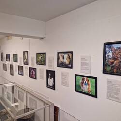 Nantwich Camera Club put on a free exhibition in the museum in collaboration with the RSPCA