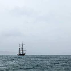 Joined by the Spirit of New Zealand