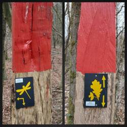 Die Wege zum Doppel-Wumms!