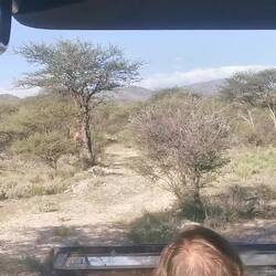 Game Count durchs Gelände