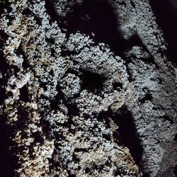 Looks like coral, hence the name, coral cave