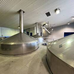 Neue Brauerei Speight's