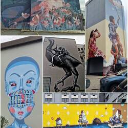 Wandmalereien in Dunedin