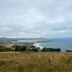 Karitane (zw. Dunedin und Oamaru)