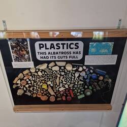 Plastik im Bauch eines toten Albatrossküken