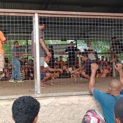 A professional cock fight arena