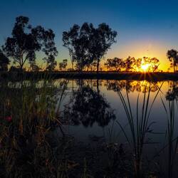 Early morning in Barcaldine