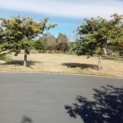 The lawn view from my camper