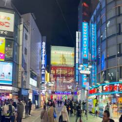Shibuja