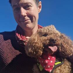 Vicky made Tiger a kerchief to spray calming liquid onto while travelling. It seems to help a little