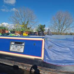 Beautiful display of daffs
