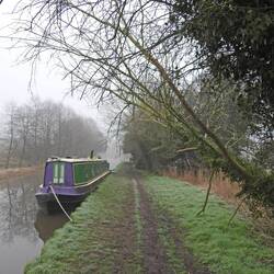 Oops, didn't notice that half fallen tree when we moored