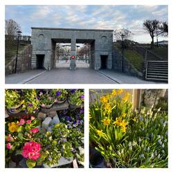 Eingang/Ausgang Fussgängerzone