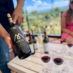 Verkostungs Favourites: Blend - Malbec - Carbanet