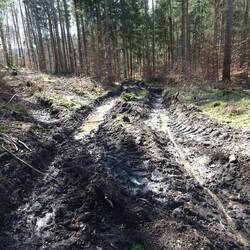 War heute auch mal dabei