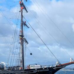 You wouldn't catch me up that rigging... 30m tall masts