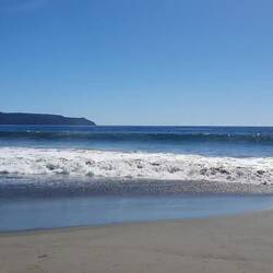 Es gab eine große Überraschung: Delfines!