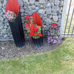 Carolyn colourful planters
