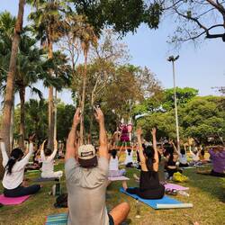 Free yoga in the park