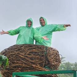 Bird Nest Lookout over Rice