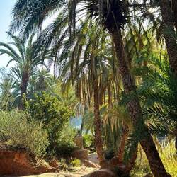 Paradise Valley Agadir