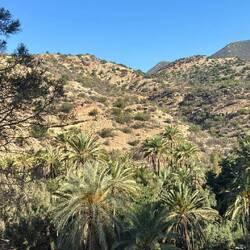 Paradise Valley Agadir