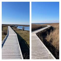 Beijershamn/Damm zum Schutz der Vogelwelt...