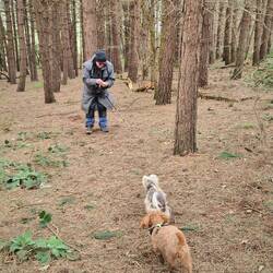 Walking the walls of Beeston Castle
