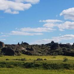 ... teilweise sehr bizarr