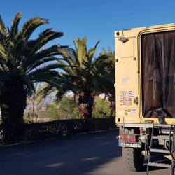 Stellplatz mit Palmen in Cáceres
