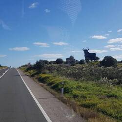 ...der schon wieder!!!!!