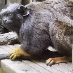 da juckt was ....!😀