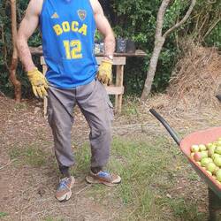 Eine Sorte Klett spendet kostenlose Armhaarextensions.