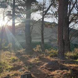Abendsonne auf der Steilklippe.