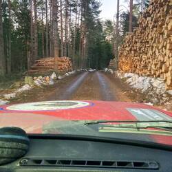 Die Letten zitten goed in de stammen