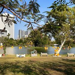 Hier im Vordergrund ein Hundespielplatz