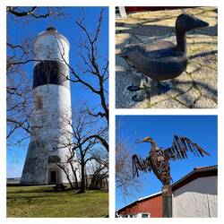 Oben; Nils Holgersons Hausgans "Martin" und seine Schuhe daneben 👞👞
