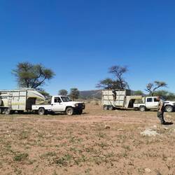 Die Trucks sind da