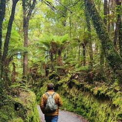 Moss covered trail banks 💚