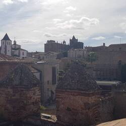 Vom Turm ein Blick über die Altstadt