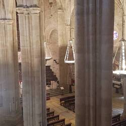 Gotische Säulen in Reinkultur