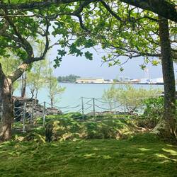 Hilo harbor from Hotel garden