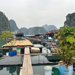 Die größte staatliche Fischzuchtfarm in der südl. Ha Long Bucht