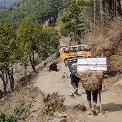 Tout ça pour de la San Miguel 🍺