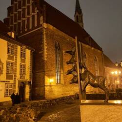 Riga by night (mooie dtad)