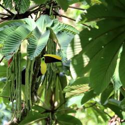 Letzter Gast des Tages