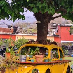 Das passiert, wenn man zu lange verweilt.