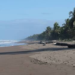 Let's go to the beach! Schwimmen aber verboten - Strömung, Quallen, Bull sharks😅