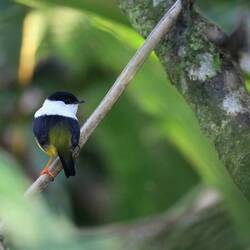 Ein paar der Nachbarn...